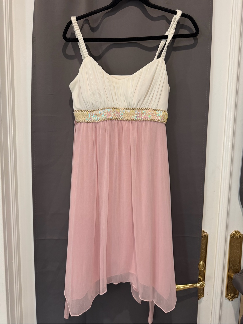NWT En Focus Studio Women’s Size 12 Pink Ivory Chiffon Dress